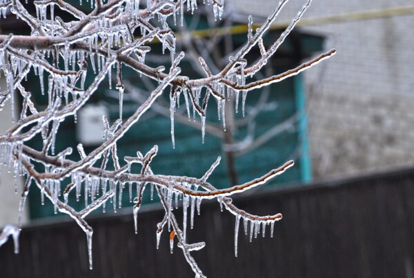 Learn best practices for winterization with RISE Property Management. Protect your Houston HOA community from winter weather damage today