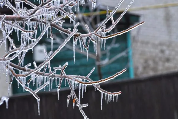Learn best practices for winterization with RISE Property Management. Protect your Houston HOA community from winter weather damage today