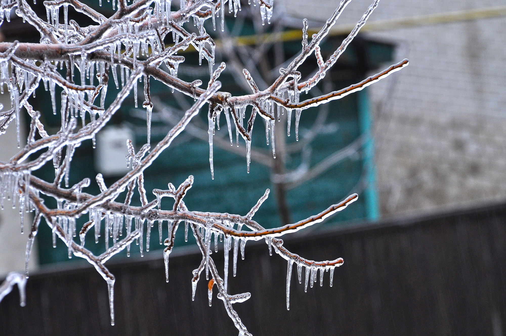 Houston HOA Management Company Best Practices for Winterization