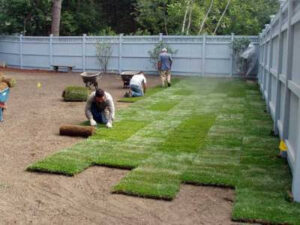 Landscaping vendor for a San Antonio HOA management company